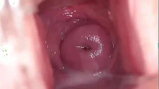 460 softcore porn videos